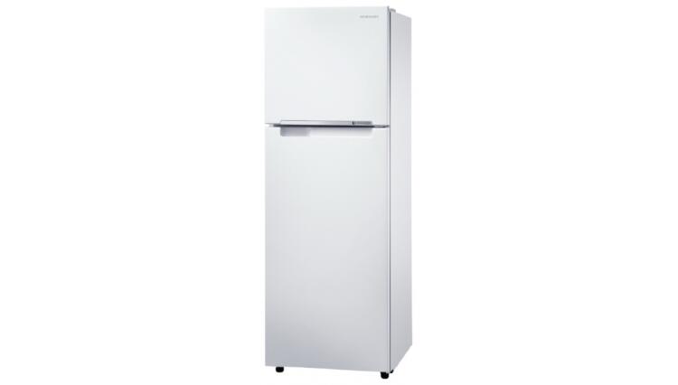 Холодильник Samsung RT25HAR4DWW