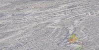 плитка Gayafores Sahara gris