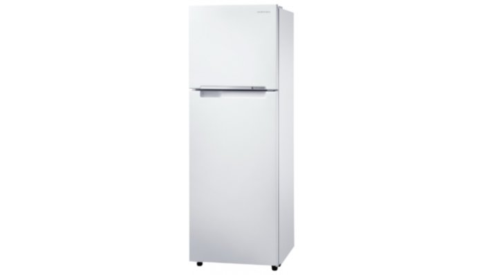 Холодильник Samsung RT25HAR4DWW