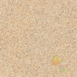 плитка Zeus Ceramica ZWXAY3